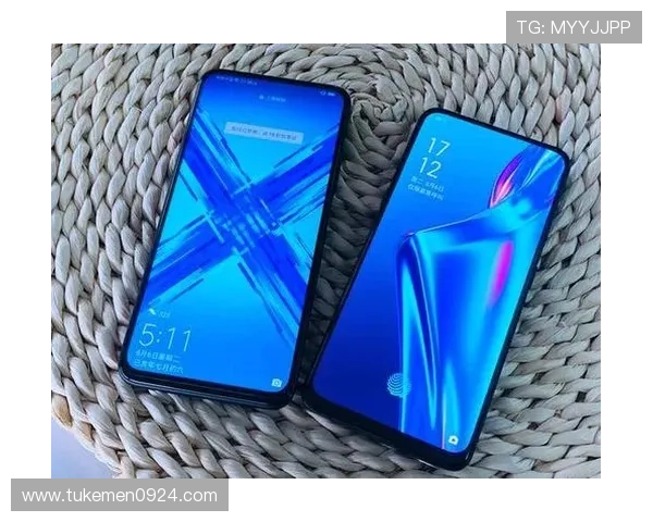 如何选择安全可靠的ag旗舰厅下载网站,避免病毒和恶意软件的实用建议 如何选择安全可靠的ag旗舰厅下载网站,避免病毒和恶意软件的实用建议
