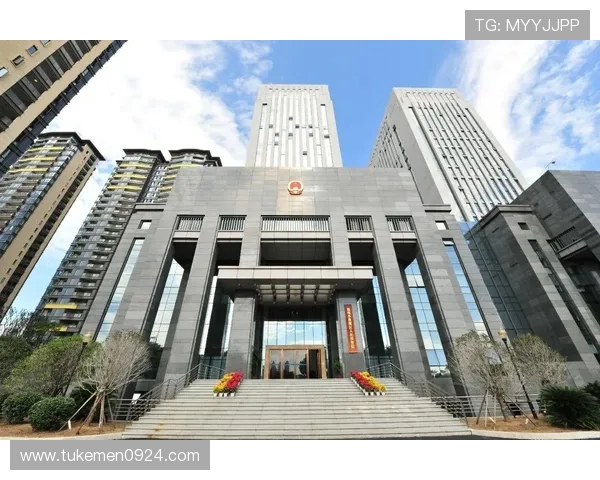 DG视讯中国区官方技术支持与服务体系优化方案全方位解读与用户指南 DG视讯中国区官方技术支持与服务体系优化方案全方位解读与用户指南